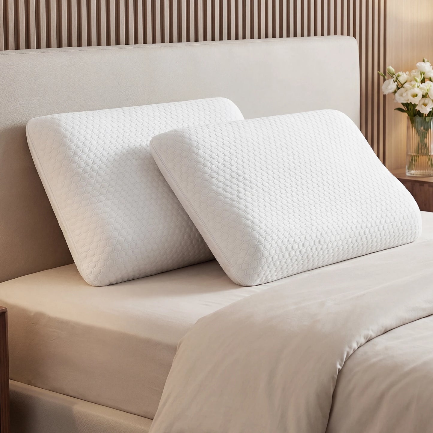 JHK 2-pieces Memory Foam Pillows